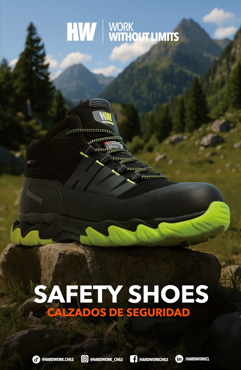 CATALOGO CALZADO HW 2025